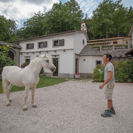 Tmbin'S Barn - Nature, Horses, Family Sežana Exteriör bild
