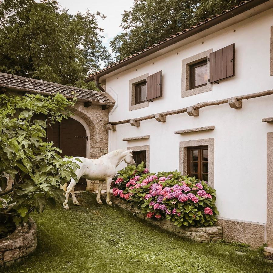 Tmbin'S Barn - Nature, Horses, Family Sežana Exteriör bild