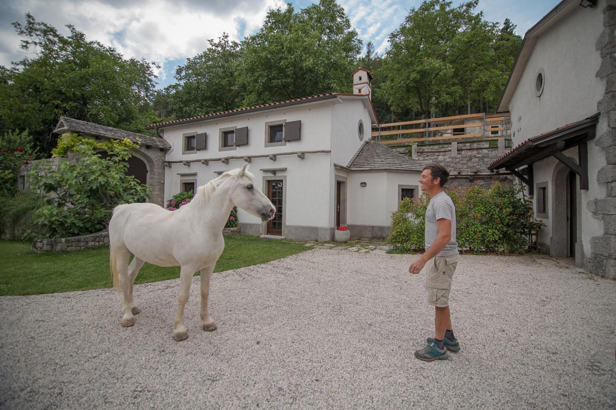 Tmbin'S Barn - Nature, Horses, Family Sežana Exteriör bild